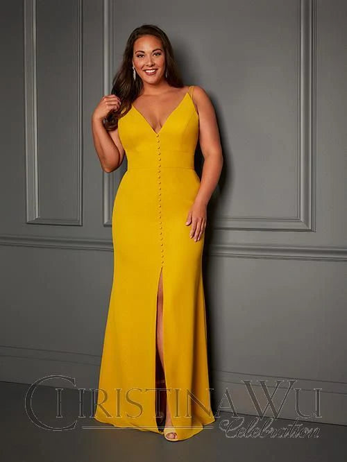 Christina Wu Celebration - 22029